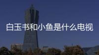 白玉書和小魚是什么電視劇