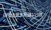 白豬中暑變粉豬119及時解救：豬生第一次高速洗澡是消防員給的