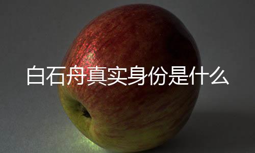 白石舟真實(shí)身份是什么