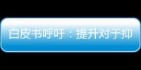 白皮書呼吁：提升對于抑郁癥亞型的關注