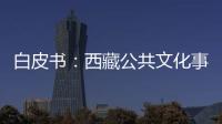 白皮書：西藏公共文化事業(yè)蓬勃發(fā)展