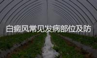 白癜風常見發病部位及防治方法
