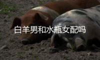 白羊男和水瓶女配嗎