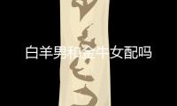 白羊男和金牛女配嗎
