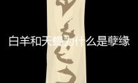 白羊和天蝎為什么是孽緣 為什么白羊座和天蝎座是孽緣