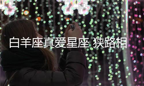 白羊座真愛星座 狹路相逢雙子座
