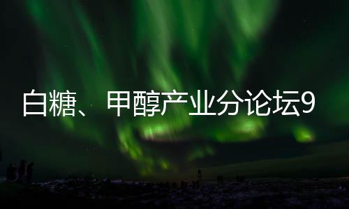 白糖、甲醇產業分論壇9月8日下午舉行