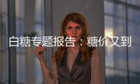 白糖專題報告：糖價又到了關(guān)鍵節(jié)點