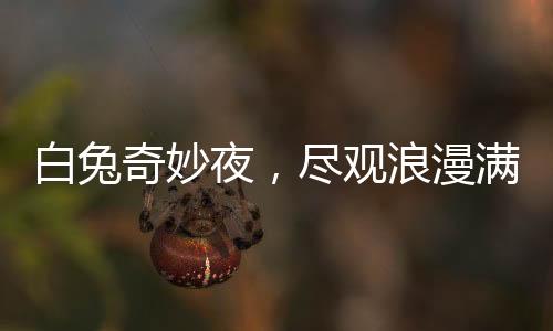 白兔奇妙夜，盡觀浪漫滿天星【綜合】風尚中國網