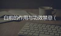 白前的作用與功效禁忌（白前的作用與功效）