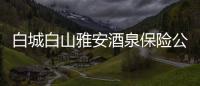 白城白山雅安酒泉保險公估轉(zhuǎn)讓干凈無異常