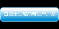 白城土工加筋帶生產(chǎn)廠家