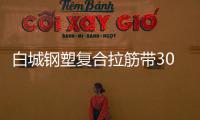 白城鋼塑復(fù)合拉筋帶30020B指標(biāo)