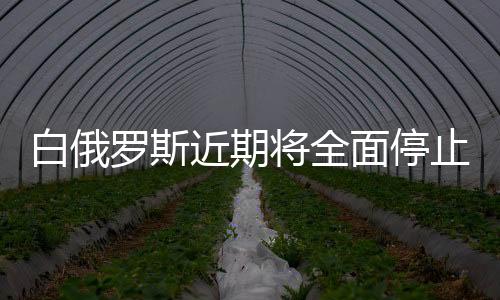 白俄羅斯近期將全面停止出口未加工木材