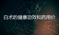 白術的健康功效和藥用價值分析