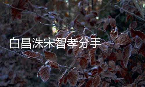 白昌洙宋智孝分手    兩人一直三緘其口從沒說過分手理由