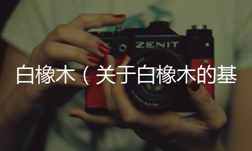 白橡木（關(guān)于白橡木的基本情況說明介紹）