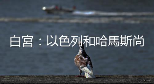 白宮：以色列和哈馬斯尚未就停火達成協議