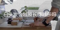 白頭發會越拔長得越多嗎？螞蟻莊園6月25號小課堂答案公布