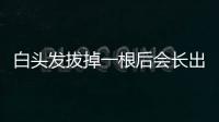 白頭發拔掉一根后會長出三根？是錯覺