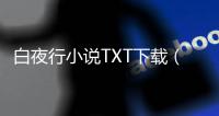 白夜行小說TXT下載（白夜行小說txt下載）