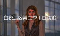 白夜追兇第二季（白夜追兇 結(jié)局）