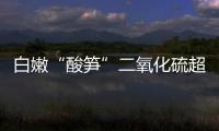 白嫩“酸筍”二氧化硫超標11倍