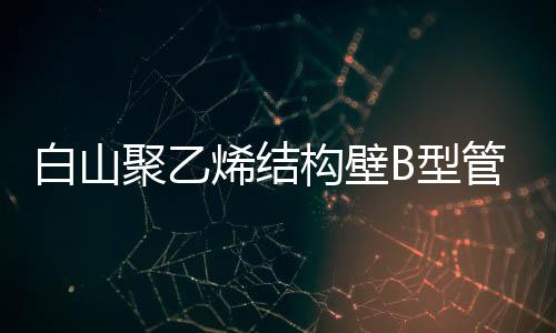 白山聚乙烯結構壁B型管