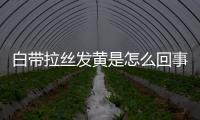 白帶拉絲發黃是怎么回事