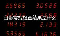白帶常規檢查結果是什么