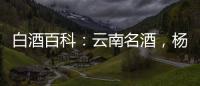 白酒百科：云南名酒，楊林肥酒為何是綠色的？