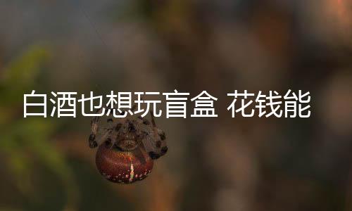 白酒也想玩盲盒 花錢能買到驚喜嗎
