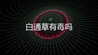白通草有毒嗎