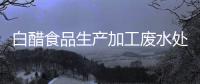 白醋食品生產加工廢水處理設備
