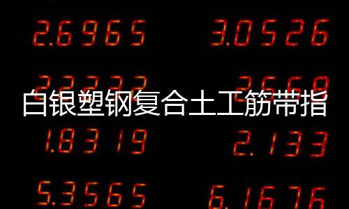 白銀塑鋼復合土工筋帶指標