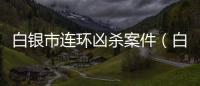白銀市連環兇殺案件（白銀殺人連環案紀實）