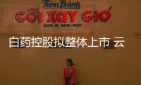 白藥控股擬整體上市 云南白藥超千億元市值縮水近四成