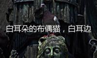 白耳朵的布偶貓，白耳邊布偶多少錢