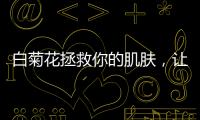 白菊花拯救你的肌膚，讓它重?zé)ㄇ啻汗獠剩?/></div></a><dfn dropzone=
