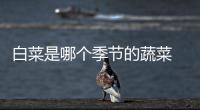 白菜是哪個(gè)季節(jié)的蔬菜 一年四季都有（隨時(shí)可吃）