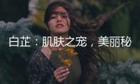 白芷：肌膚之寵，美麗秘籍大揭秘！