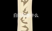 白花蛇是什么
