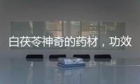 白茯苓神奇的藥材，功效與作用詳解