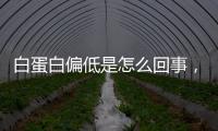 白蛋白偏低是怎么回事，白蛋白偏低的危害