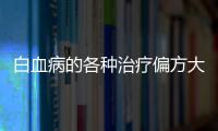 白血病的各種治療偏方大全，白血病的各種治療偏方