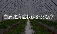 白質腦病癥狀診斷及治療方法詳解