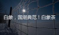 白象，國潮典范！白象茶飲料一瓶好茶飲，速來代理吧！