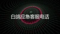 白鴿應(yīng)急客服電話