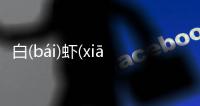 白(bái)蝦(xiā)收(shōu)定(dìnɡ)是什么原因?