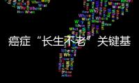 癌癥“長生不老”關鍵基因作用揭示